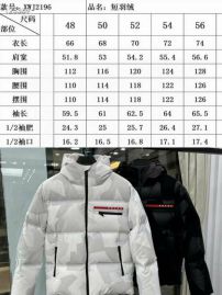 Picture of Prada Down Jackets _SKUPradasz48-56zyn249444